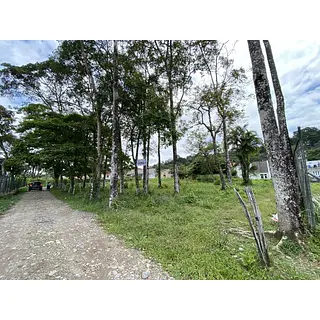 Lote-Miramar