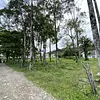 Lote-Miramar
