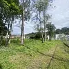 Lote-Miramar