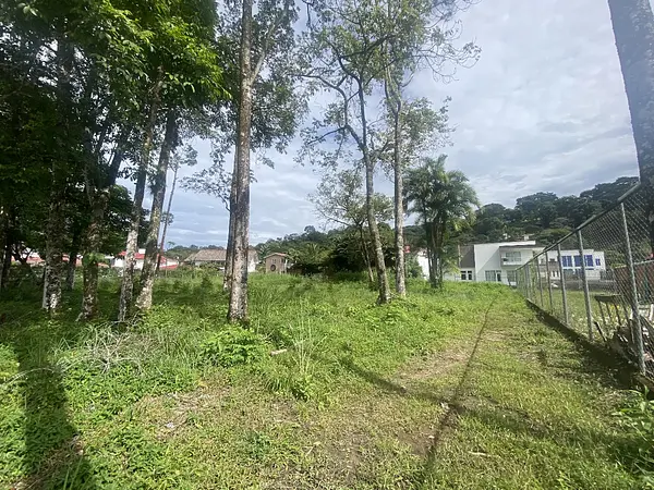 Lote-Miramar