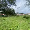 Lote-Miramar
