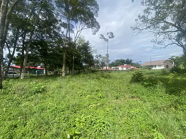 Lote-Miramar