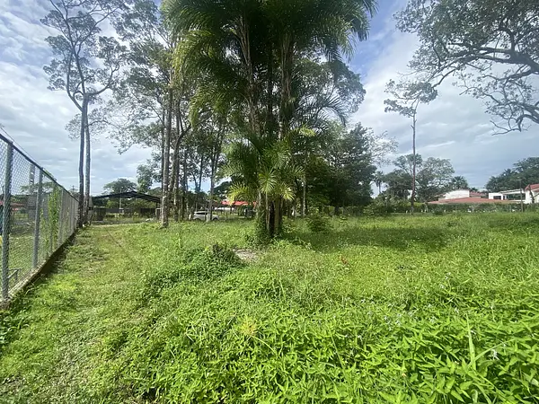 Lote-Miramar