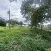 Lote-Miramar