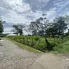 Lote-Miramar