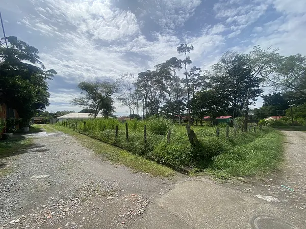 Lote-Miramar