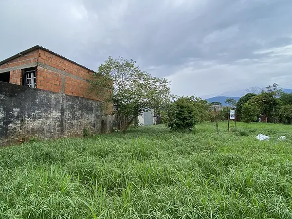 Lote-Cola De Pato