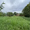 Lote-Cola De Pato