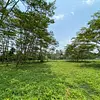Finca Ecológica- Guacavía