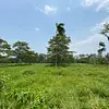 Finca Ecológica- Guacavía