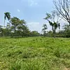 Finca Ecológica- Guacavía