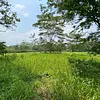 Finca Ecológica- Guacavía