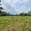Finca Ecológica- Guacavía
