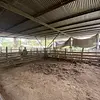 Finca Ecológica- Guacavía