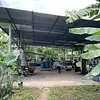 Finca Ecológica- Guacavía