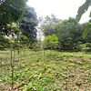 Finca Ecológica- Guacavía