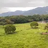 Apartamento - Pasollano, Hacienda Rosablanca