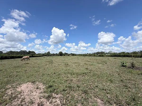 Lote Campestre En Condominio Horizontes