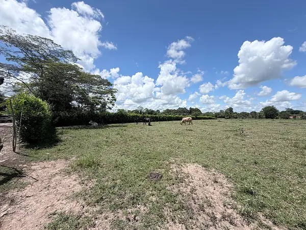 Lote Campestre En Condominio Horizontes