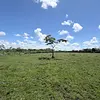 Lote Campestre En Condominio Horizontes